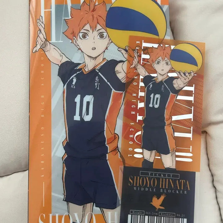 [BUNJANG] Haikyuu Hinata Ticket Case &amp; Clear Card Set / 하이큐 쿠지 I상 티켓 케이스&amp;클리어 카드 세트 히나타