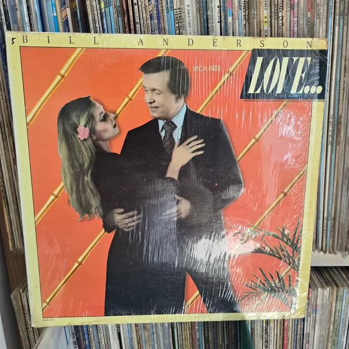 [BUNJANG] Bill Anderson &amp; Other Sad Stories LP Record (Mint Condition) / 빌 앤더슨 &amp; other sad stories LP판 민트급