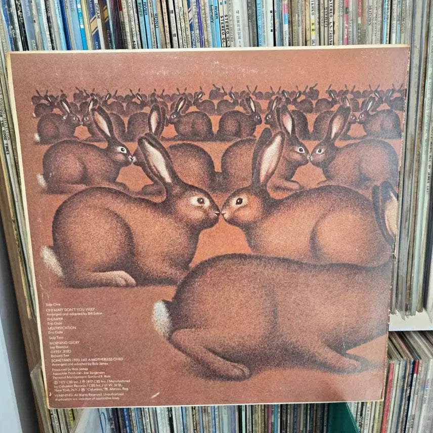 [BUNJANG] Eric Gale Multiplication LP Vinyl Record / 에릭 게일 Multiplication LP판