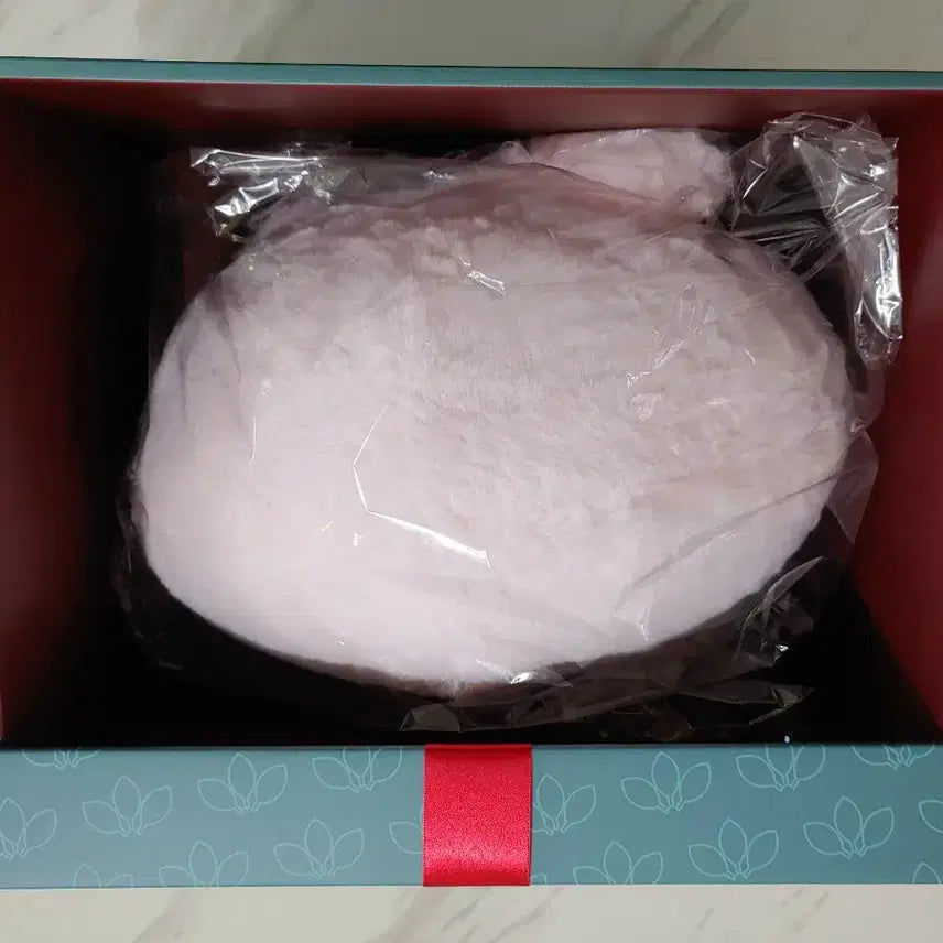 [BUNJANG] HamHamPangPang Limbus Company Bong-i Plush Doll / 햄햄팡팡 림버스컴퍼니 봉이인형