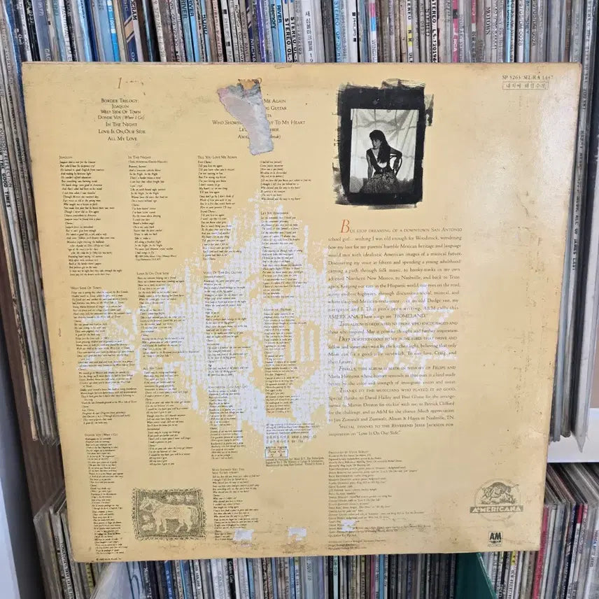 [BUNJANG] Tish Hosa LP Vinyl Record / 띠시 에노호사 LP판 민트급