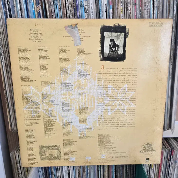 [BUNJANG] Tish Hosa LP Vinyl Record / 띠시 에노호사 LP판 민트급