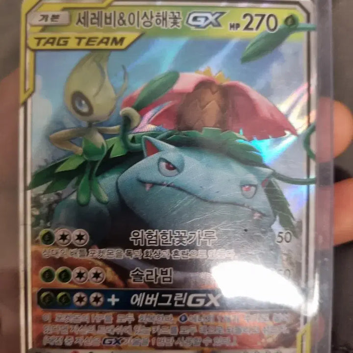 [BUNJANG] Pokemon Card Set / 피카츄 제크로무,세레비 이상해꽃,개굴닌자 조로아크,페로코체 매시붕