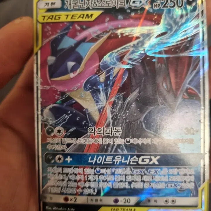 [BUNJANG] Pokemon Card Set / 피카츄 제크로무,세레비 이상해꽃,개굴닌자 조로아크,페로코체 매시붕