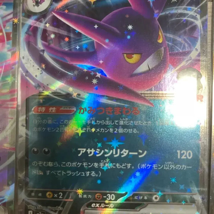 [BUNJANG] Pokemon Japanese RR Bundle Set / 일본판 포켓몬 카드 rr 15종 일괄 판매