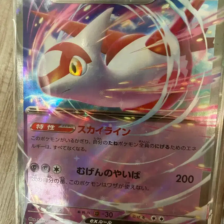 [BUNJANG] Pokemon Japanese RR Bundle Set / 일본판 포켓몬 카드 rr 15종 일괄 판매