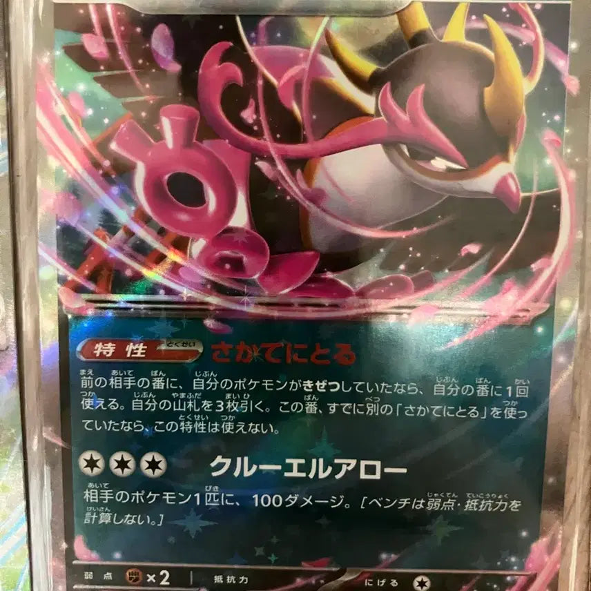 [BUNJANG] Pokemon Japanese RR Bundle Set / 일본판 포켓몬 카드 rr 15종 일괄 판매