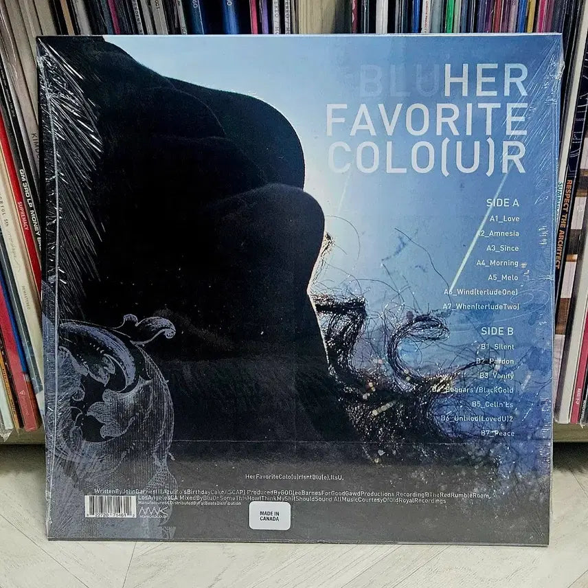 [BUNJANG] Blu Her Favorite Color Splatter LP / Blu - Her Favorite Colo(u)r - 블루 스플래터 LP
