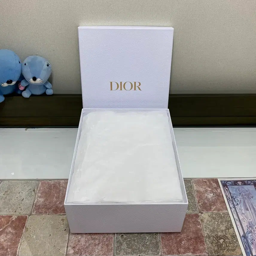 [BUNJANG] Dior Shoe Box / 디올 신발 박스(24.5x30.5x11) + 속지