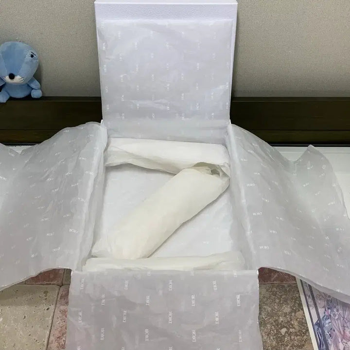 [BUNJANG] Dior Shoe Box / 디올 신발 박스(24.5x30.5x11) + 속지