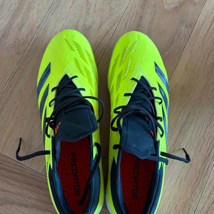 [BUNJANG] Adidas Predator TF Soccer Shoes / 아디다스 프레데터 tf 290