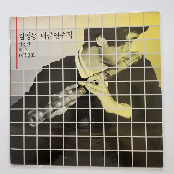[BUNJANG] Kim Young Dong Daegeum LP Record / 김영동 대금연주집 LP / MINT