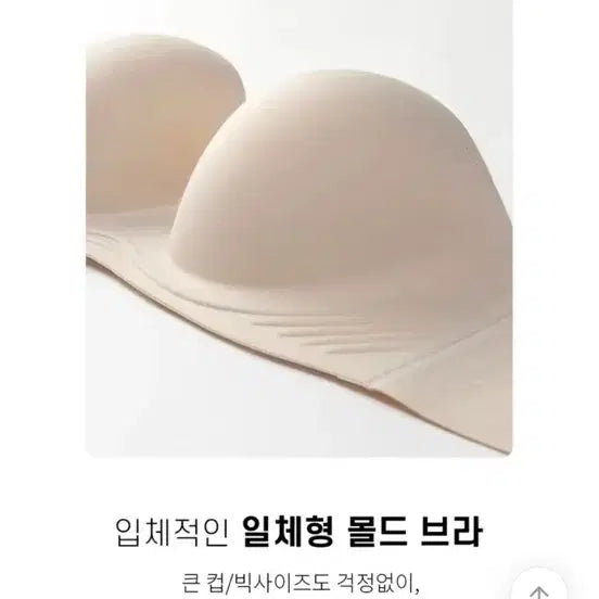[BUNJANG] Wedding Off-Shoulder Bra 75F / 웨딩브라 오프숄더브라 큰컵브라 75f