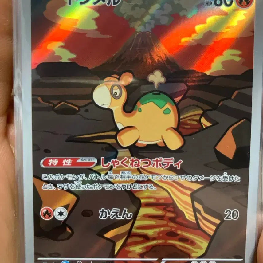[BUNJANG] Pokemon AR Card Bundle Set / 일판 포켓몬 ar카드들 일관판매 (메가드림)