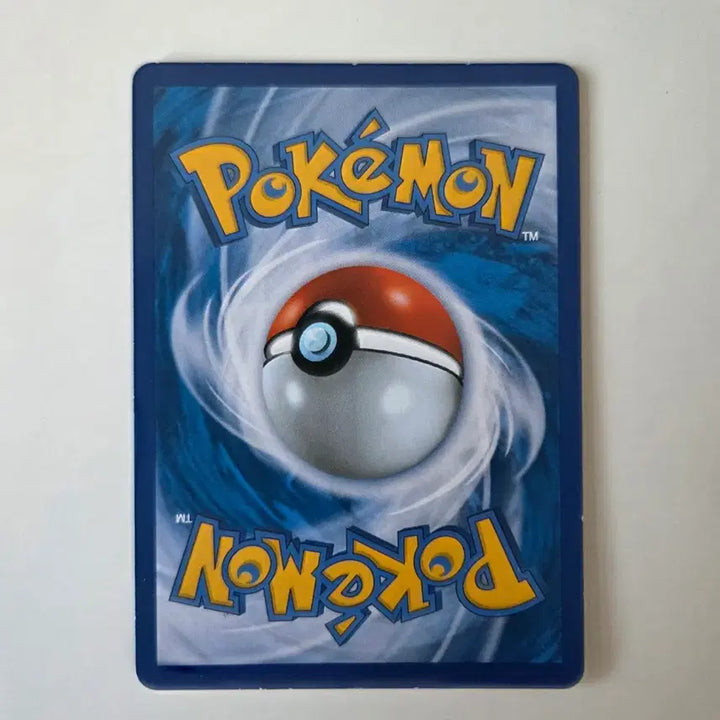 [BUNJANG] Hyungsa Goose GX 050/060 RR Card / 형사구스 GX 050/060 RR
