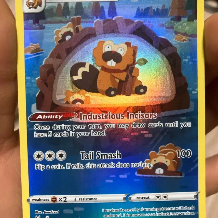 [BUNJANG] Pokemon USA English Edition Beaver Tube AR / 미판 비버통 ar (포켓몬 카드)