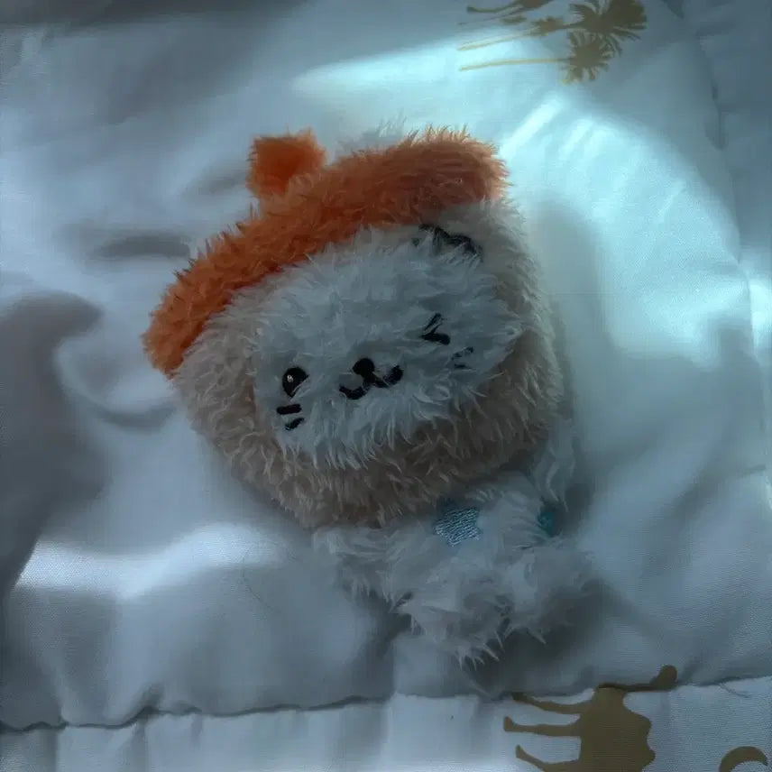 [BUNJANG] Pocket Wish Doll Bubble Cat / 포켓위시돌 버블냥 판매!!