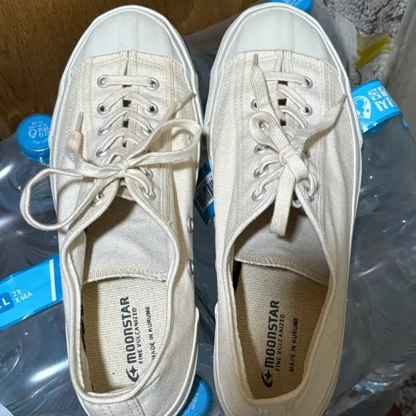 [BUNJANG] Moonstar Gym Classic White 250 / 250) 문스타 짐클래식 화이트
