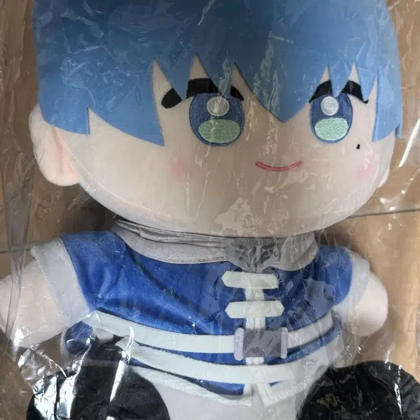 [BUNJANG] Frieren Himel A Prize Plush / 프리렌 중국쿠지 2등상 힘멜 인형