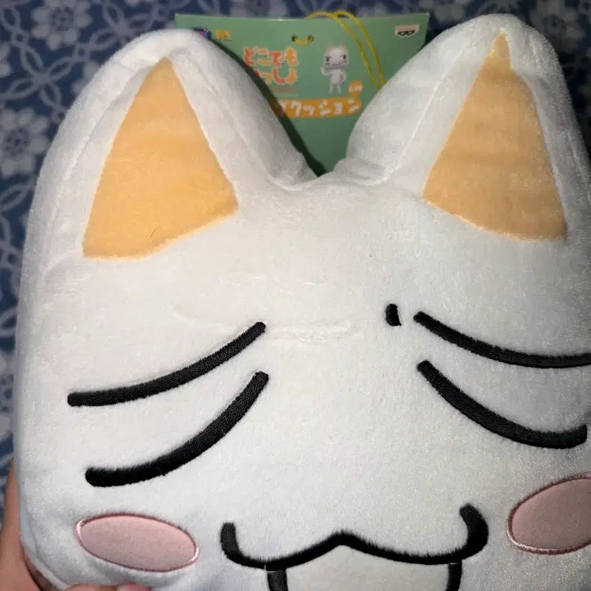 [BUNJANG] Torro Face Cushion / 도코데모잇쇼 토로 얼굴 쿠션