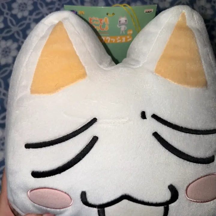 [BUNJANG] Torro Face Cushion / 도코데모잇쇼 토로 얼굴 쿠션