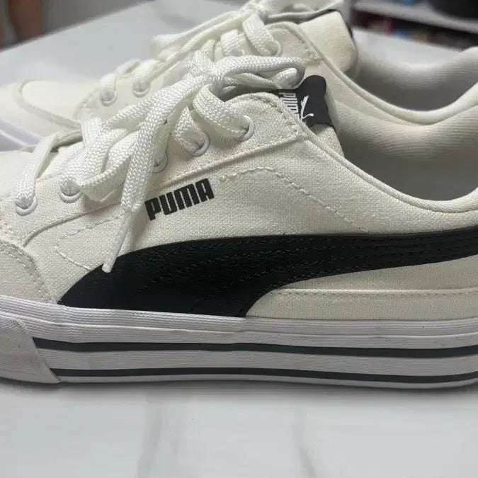 [BUNJANG] Puma Sneakers / 퓨마 신발