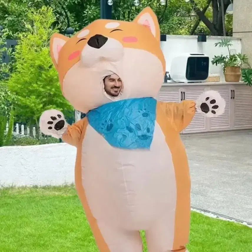 [BUNJANG] Shiba Inu Air Suit Rental for Graduation Photos / 졸업사진 시바견 에어슈트 대여