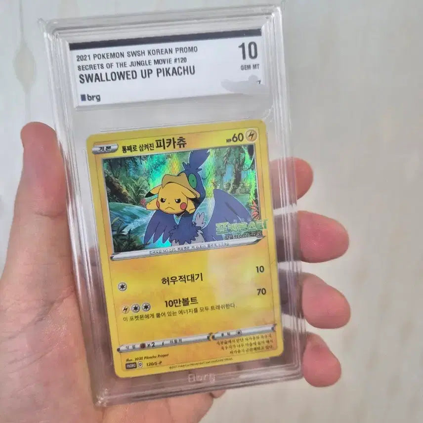 [BUNJANG] Pokemon BRG10 Swallowed Pikachu Card / 오늘만 포겟몬카드 brg10 통째로 삼켜진 피카츄 카드
