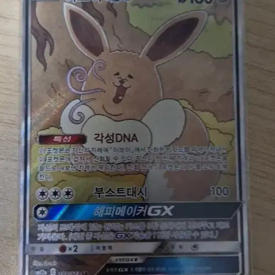 [SOLD OUT] 포켓몬카드 이브이 특일