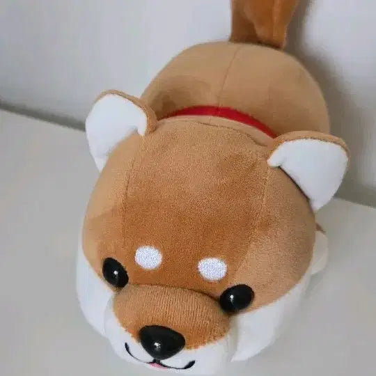 [BUNJANG] Shiba Inu Plush Doll / 시바견 인형