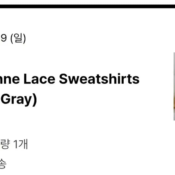 [BUNJANG] Sienne Lace Sweatshirt Gray / 시엔느 레이스 스웻셔츠(맨투맨) 그레이 시엔느 맨투맨