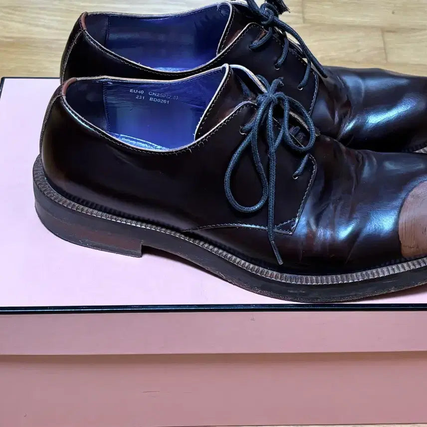 [BUNJANG] Acne Studios Leather Derby Shoes / [40] 아크네 스튜디오 레더 더비 슈즈 (브라운)
