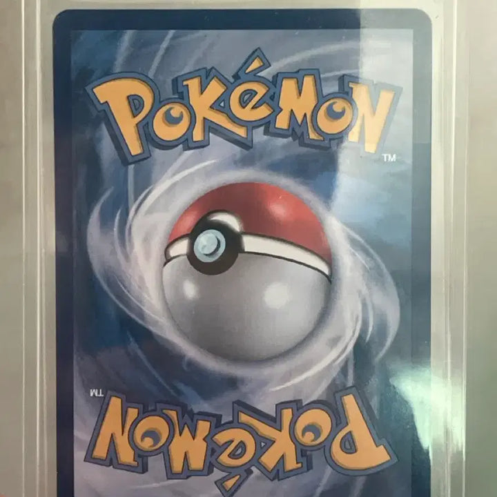 [SOLD OUT] 레시라무 bwr 판매합니다
