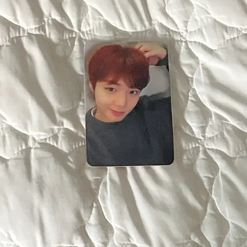 [BUNJANG] Park Jihoon The Answer Photocard / 박지훈 the answer 원티샵 포카 (반포)