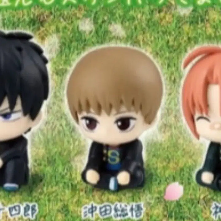 [BUNJANG] Gintama Ginpachi Sougo Machi Bokke / 은혼 긴파치 소고 마치보케
