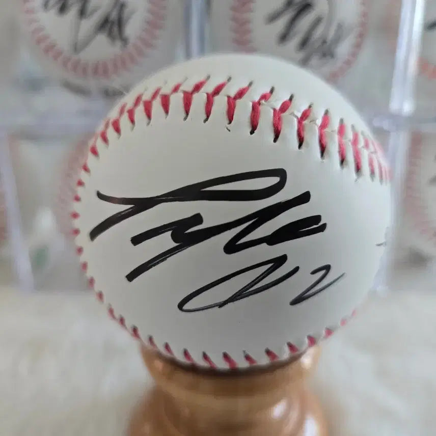 [BUNJANG] Samsung Lions Signed Baseball Collection / 삼성  김재성 육선엽 최원태 김태훈 배찬승  가리비토 싸인볼
