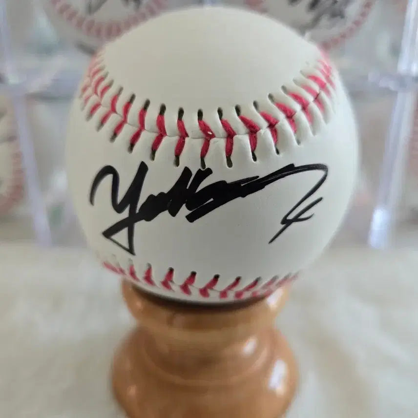 [BUNJANG] Samsung Lions Signed Baseball Collection / 삼성  김재성 육선엽 최원태 김태훈 배찬승  가리비토 싸인볼