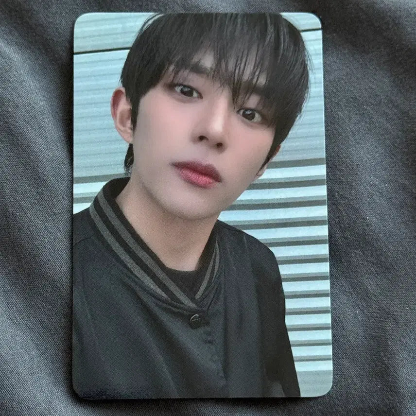 [BUNJANG] DKB D1 KOREAJU Event POB Photocard / 다크비 디원 일본 KOREAJU 이벤트 특전 포카