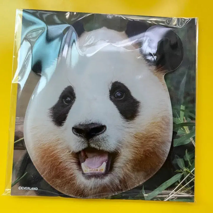 [BUNJANG] Fu Bao Acrylic Coaster / 푸바오 아크릴 코스터