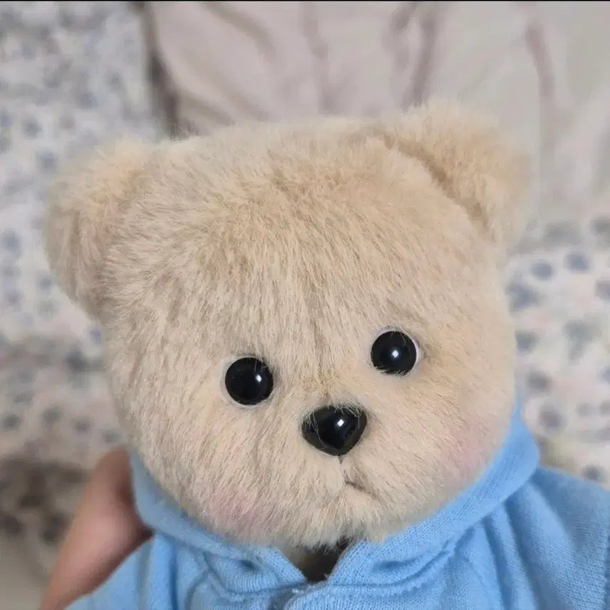 [BUNJANG] Teddy Tales Lena Bear Milk Tea XS Doll + Full Box Set / 테디테일즈Teddy Tales 레나베어 밀크티 xs 인형 + 박스 풀세트