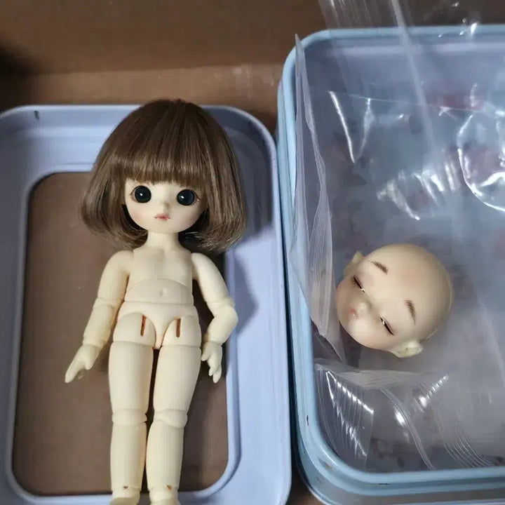 [BUNJANG] Obitsu11 Brownie BJD Doll / 오비츠11 브라우니 구관인형 구체관절인형