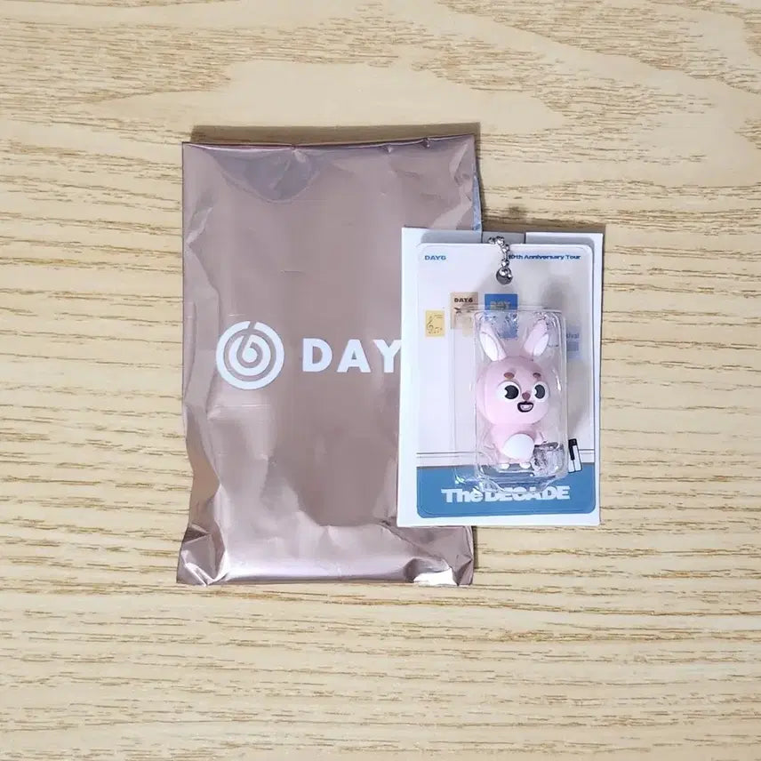 [SOLD OUT] 데이식스 도쿄콘 피규어키링 필 원필