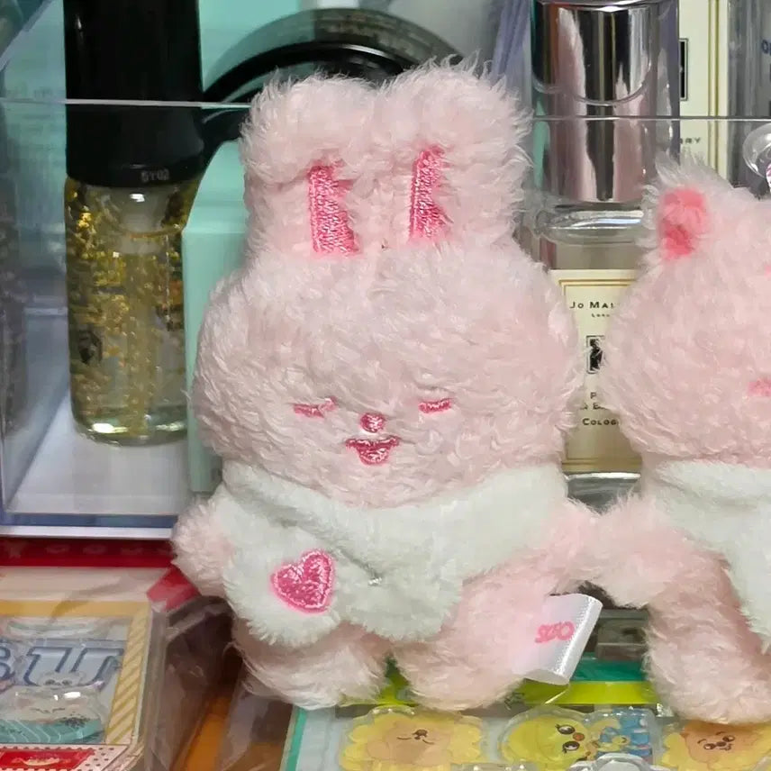 [BUNJANG] Stray Kids SKZ Secret Plush Micro Rabbit / 스트레이키즈 skz 스키즈 스키주 시크릿 플러시 마이크로 리빗