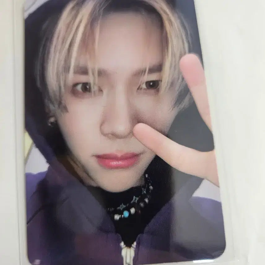 [BUNJANG] Modisey Photocard / 모디세이 공방 포카 양도