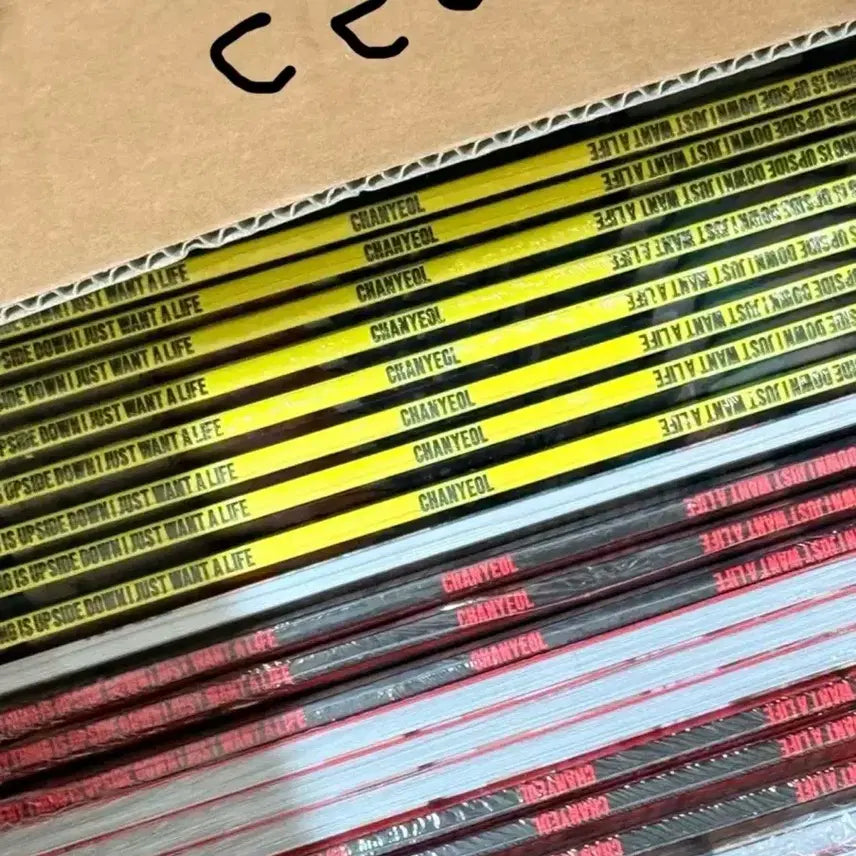 [BUNJANG] Chanyeol Upside Down Album / 찬열 upside down unopened album