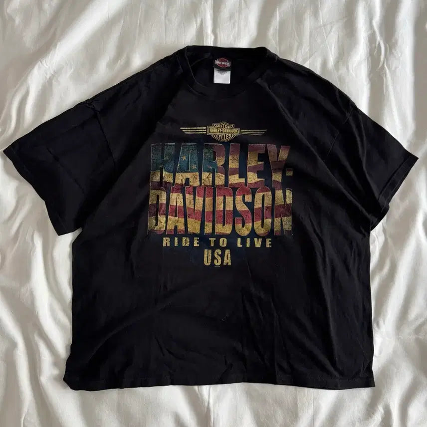 [BUNJANG] Vintage Harley-Davidson Flag Logo T-Shirt / [XXL] 90s-00s 빈티지 할리데이비슨 flag 로고 티셔츠