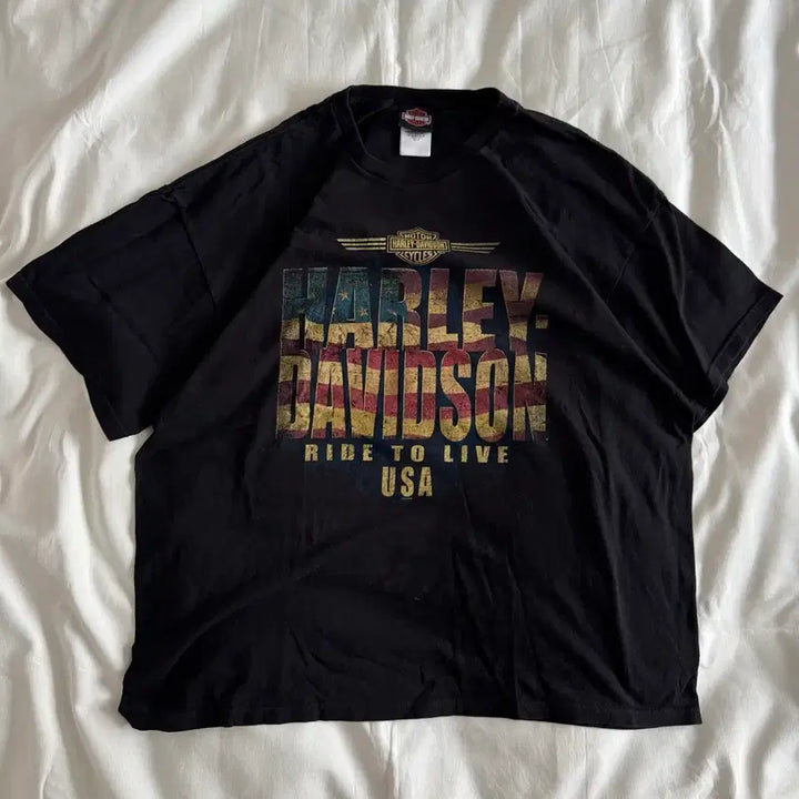 [BUNJANG] Vintage Harley-Davidson Flag Logo T-Shirt / [XXL] 90s-00s 빈티지 할리데이비슨 flag 로고 티셔츠