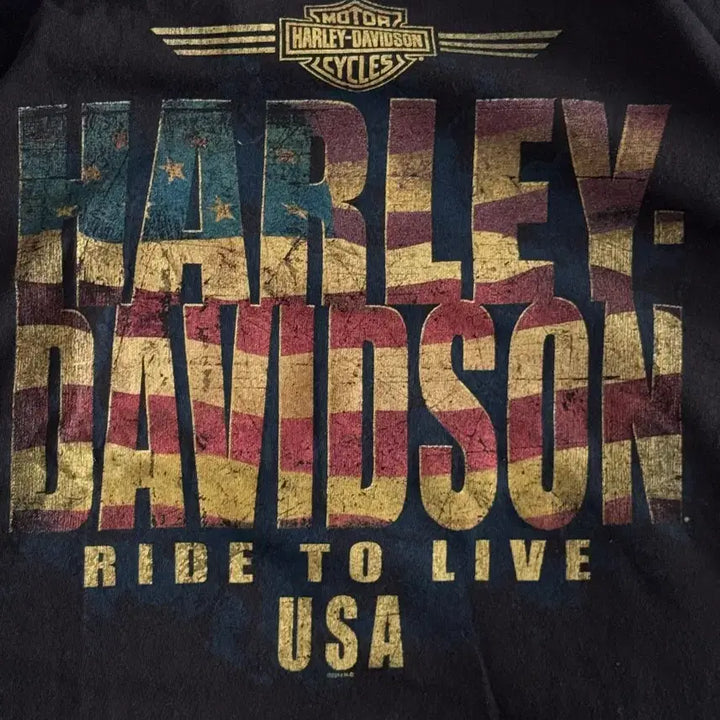 [BUNJANG] Vintage Harley-Davidson Flag Logo T-Shirt / [XXL] 90s-00s 빈티지 할리데이비슨 flag 로고 티셔츠