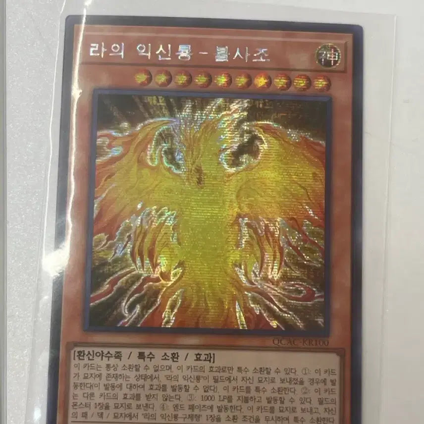 [SOLD OUT] 유희왕 라의 익신룡 불사조