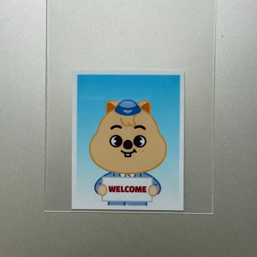 [SOLD OUT] 스트레이키즈 스키즈 스키주 팝업 한쿼카 한 증명사진 증사